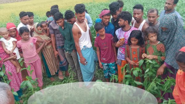 ছবি: প্রতিনিধি