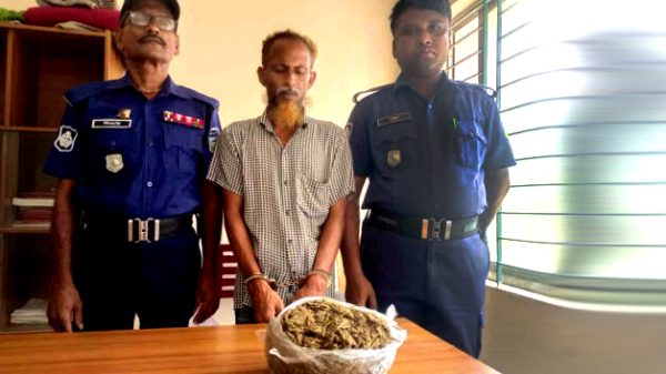 নালিতাবাড়ীতে পুলিশ অভিযানে গাঁজাসহ গ্রেফতার হওয়া মাদক ব্যবসায়ীর ছবি