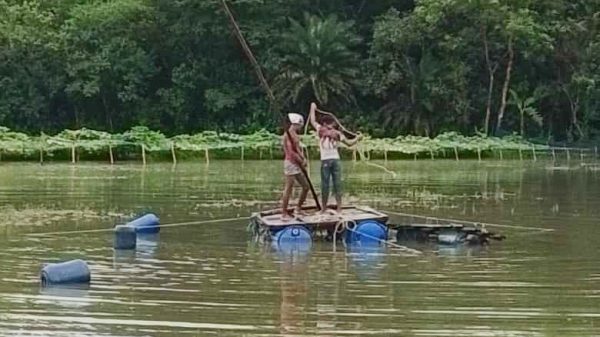 নোয়াখালীতে কৃষি জমি থেকে অবৈধ বালু উত্তোলন করছেন যুবদল নেতা শাহাদাত – এলাকাবাসীর মাঝে চরম আতঙ্ক।