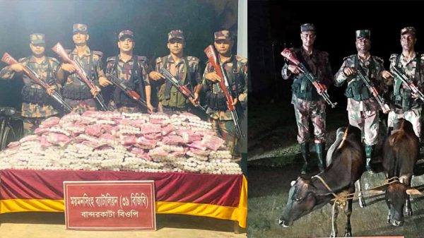 ময়মনসিংহে বিজিবির অভিযানে আটক ভারতীয় ফেসওয়াশ ও গরু