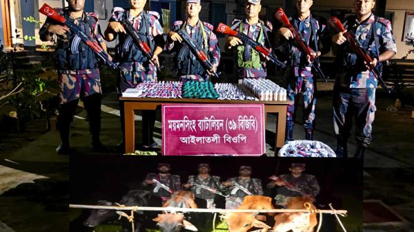 বিজিবির সদস্যরা শেরপুর সীমান্তে আটক করা ভারতীয় ঔষধ, মদ ও গরুর পাশে দাঁড়িয়ে।