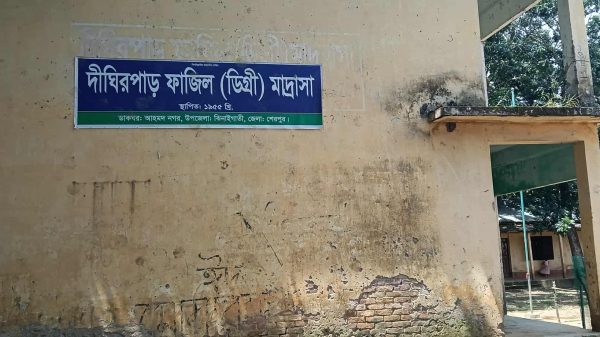 ঝিনাইগাতীতে দিঘীরপাড় ফাযিল মাদরাসায় সরকারি বিনামূল্যের বই বিতরণে অনিয়ম