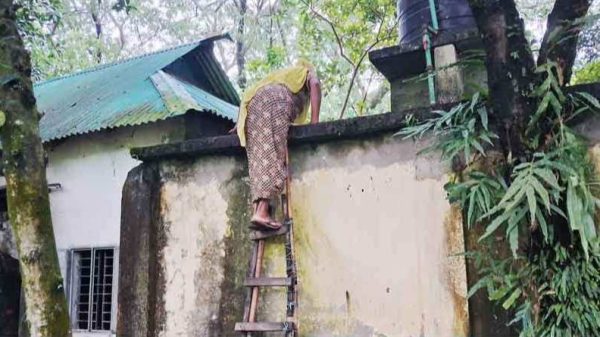 গাজীপুরে প্রভাবশালীর বাঁশ-তারের বেড়ায় অবরুদ্ধ হয়ে মই বেয়ে যাতায়াত করছেন মা ও ছেলে।