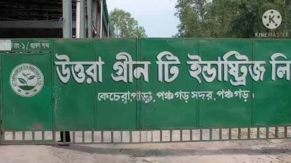 উত্তরা গ্রীণ টি ইন্ডাস্ট্রিজ কারখানায় চায়ের হিসাবে গড়মিল বিষয়ে চা বোর্ডের তদন্ত।