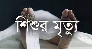 রাণীনগরে অটো ভ্যানগাড়ির ধাক্কায় নিহত শিশু সাখওয়াত