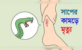 চিরিরবন্দরে সাপের কামড়ে নিহত যুবক কমলেষ অধিকারীর বাড়িতে শোকের ছায়া