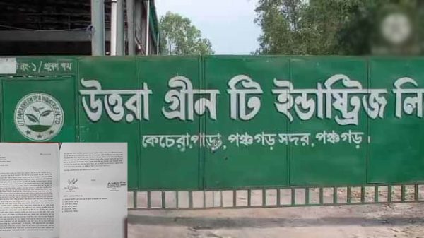 পঞ্চগড়ে উত্তরা গ্রীণটি ইন্ডাস্ট্রিজ লিমিটেড চা কারখানায় সহোদর ভাইদের বিরোধ