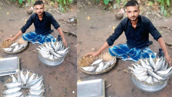 বাকেরগঞ্জে নদীর পাড়ে জেলেদের ধরা ইলিশ মাছ বিক্রির দৃশ্য, নিষেধাজ্ঞা উপেক্ষা করে বাজারে প্রকাশ্যে বিক্রি চলছে।