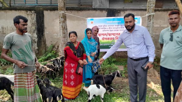 বকশীগঞ্জের বালিঝুড়ি আদিবাসী কার্যালয়ে ক্ষুদ্র নৃ-গোষ্ঠি পরিবারের মাঝে ছাগল বিতরণ অনুষ্ঠানের দৃশ্য।