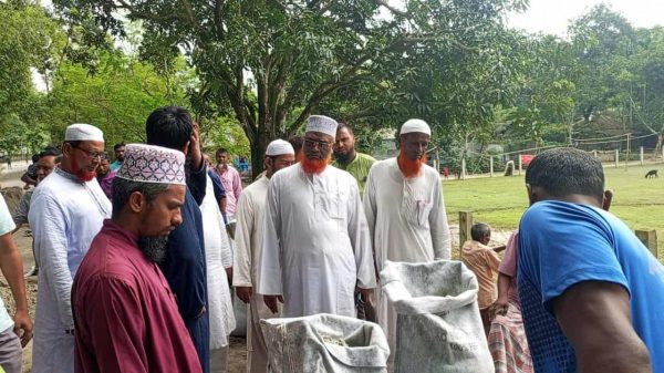 নীলফামারীর ডিমলায় দুর্ঘটনায় প্রাণহানির পর জামায়াত নেতাকর্মীদের স্বেচ্ছাশ্রমে সড়ক সংস্কারের দৃশ্য।