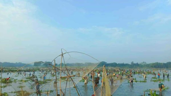 নান্দাইলের বলদা বিলে অনুষ্ঠিত হাইত মাছ ধরা উৎসবে জাল, খাচা ও পলো নিয়ে মাছ ধরছেন স্থানীয়রা।