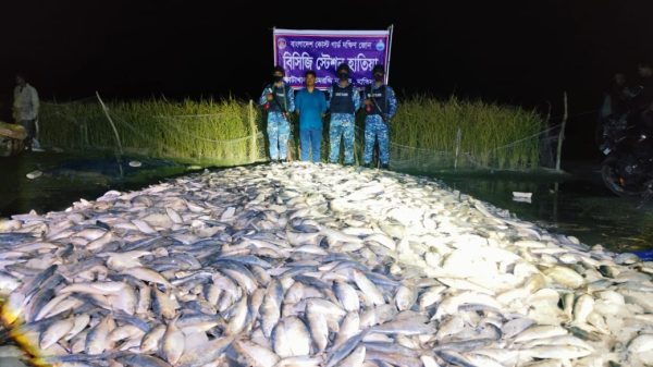 বাংলাদেশ কোস্ট গার্ড সদস্যরা হাতিয়ার মেঘনা নদীতে জব্দকৃত জাটকা মাছ স্থানীয় এতিমখানায় বিতরণ করছেন।