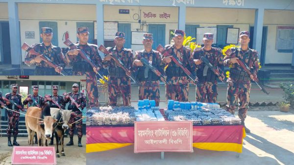 হালুয়াঘাট সীমান্তে বিজিবি টহলদল ভারতীয় ওষুধ ও গরু জব্দ করার দৃশ্য।