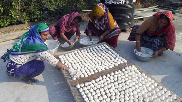 বাঘা উপজেলায় গ্রামীণ বধূরা সারি করে রোদে শুকানোর জন্য চালকুমড়ার বড়ি সাজাচ্ছেন—শীতের ঘরোয়া ঐতিহ্যের এক কর্মচাঞ্চল্যপূর্ণ দৃশ্য।